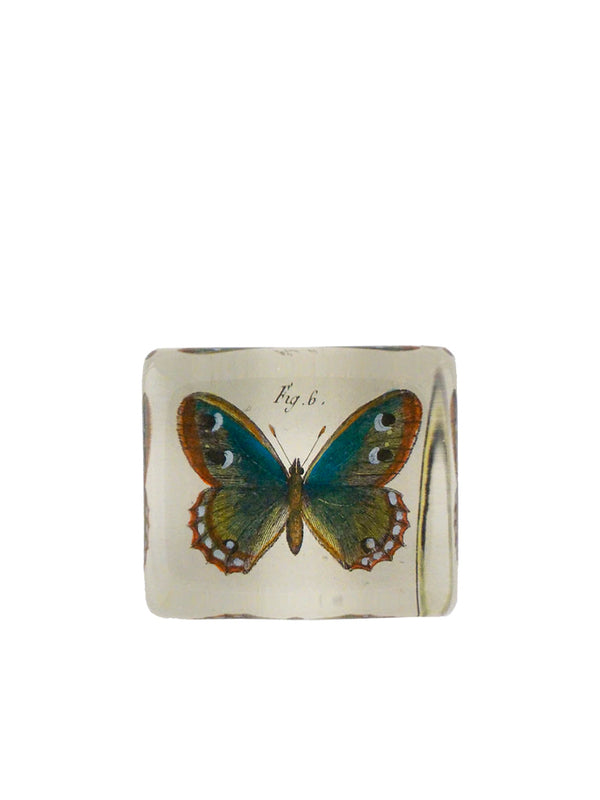John Derian Fig. 6 Butterfly Rectangular Paperweight