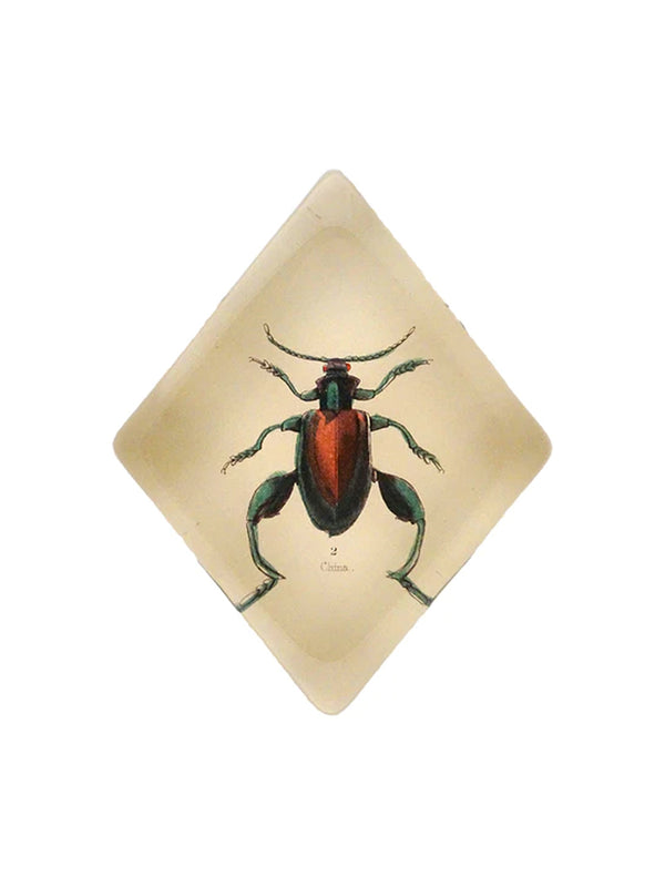 John Derian Sagra Beetle Diamond Paperweight