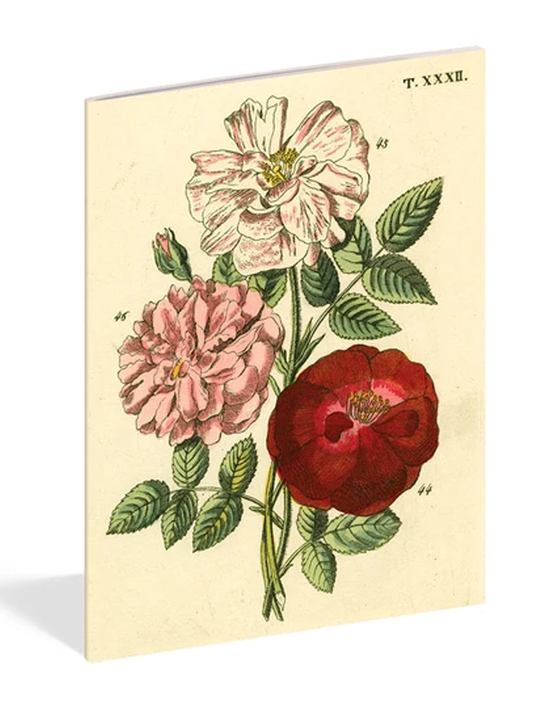 John Derian Roses Notebook