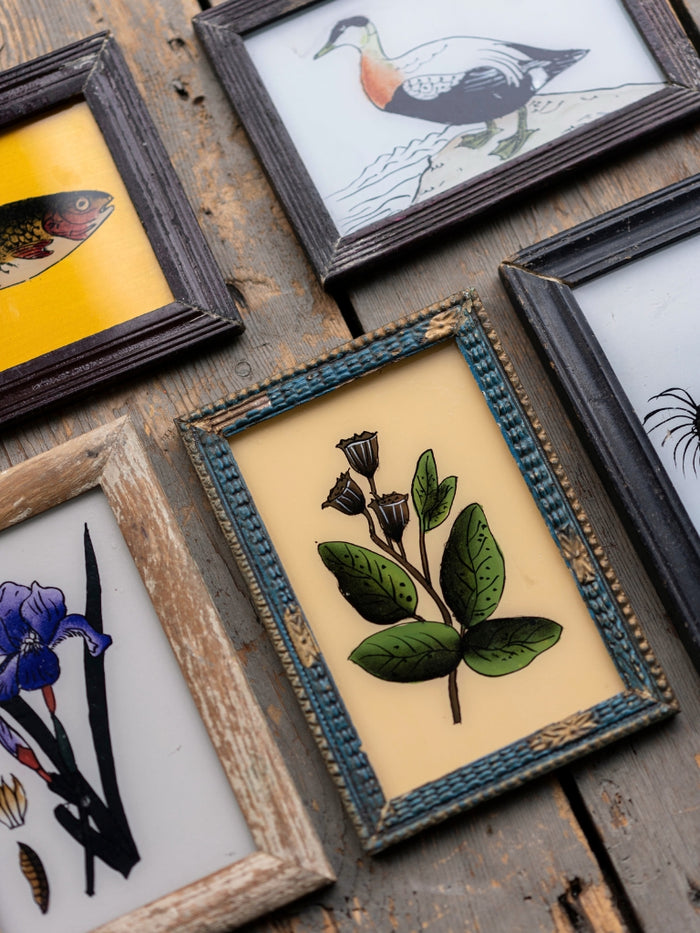Assorted picture frames discount