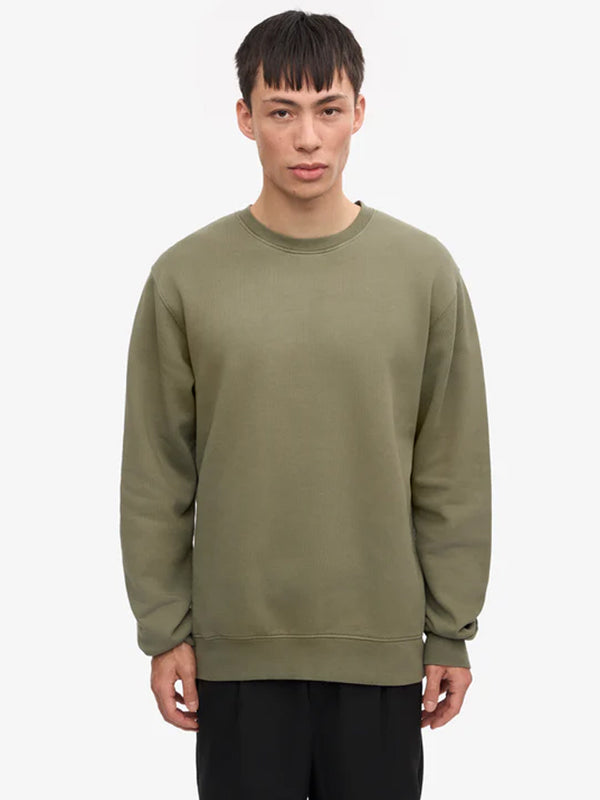 Colorful Standard Classic Organic Sweatshirt in Olive