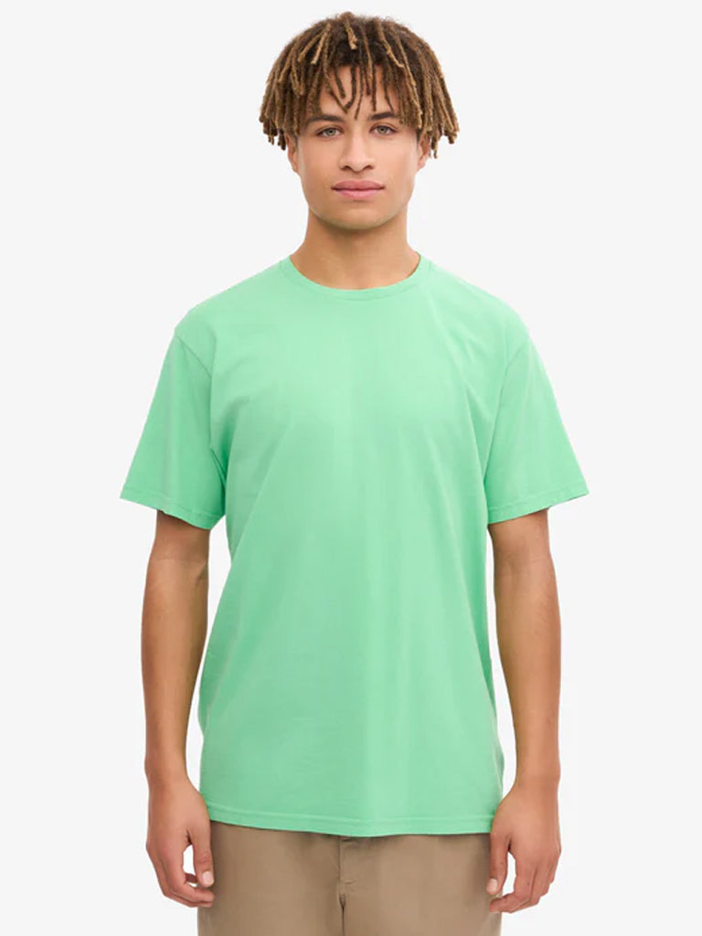 Colorful Standard Classic Organic T-Shirt in Spring Green