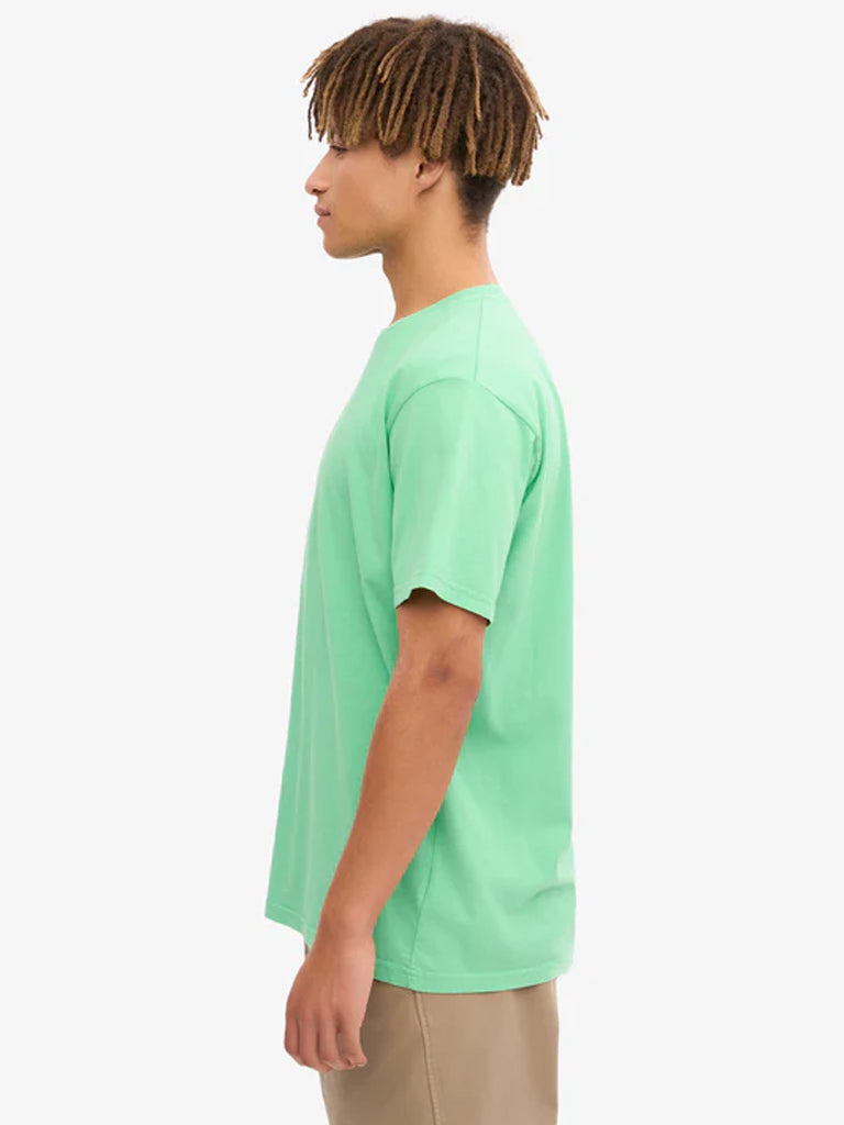 Colorful Standard Classic Organic T-Shirt in Spring Green