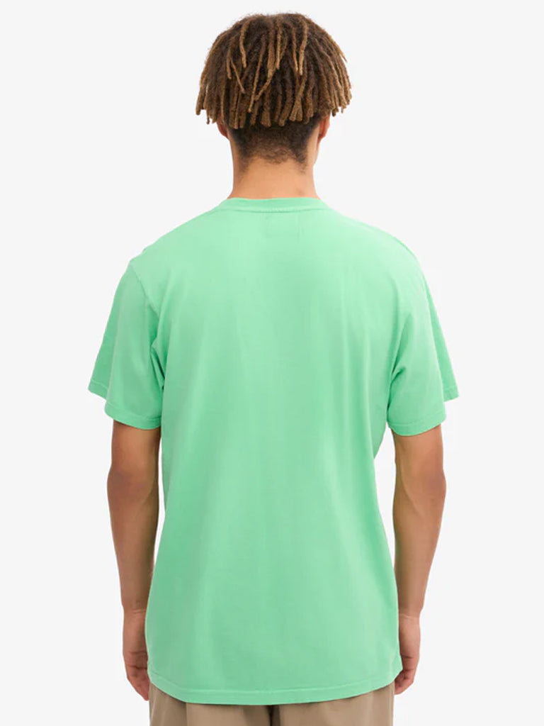 Colorful Standard Classic Organic T-Shirt in Spring Green