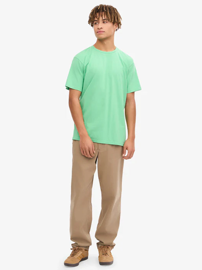 Colorful Standard Classic Organic T-Shirt in Spring Green