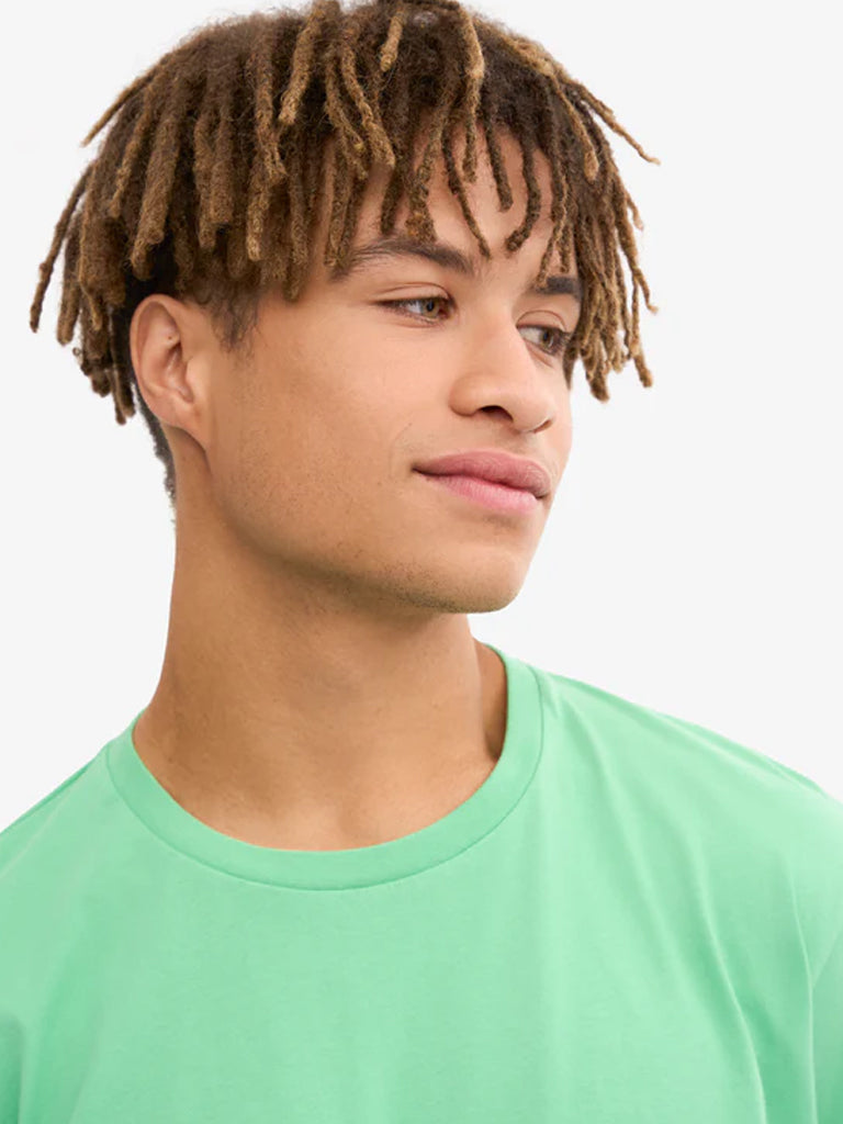 Colorful Standard Classic Organic T-Shirt in Spring Green