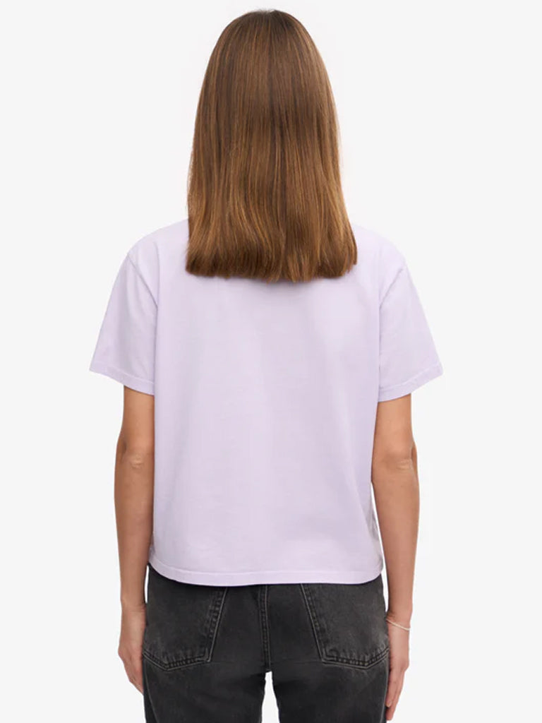 Colorful Standard Organic Boxy Crop T-Shirt in Soft Lavender