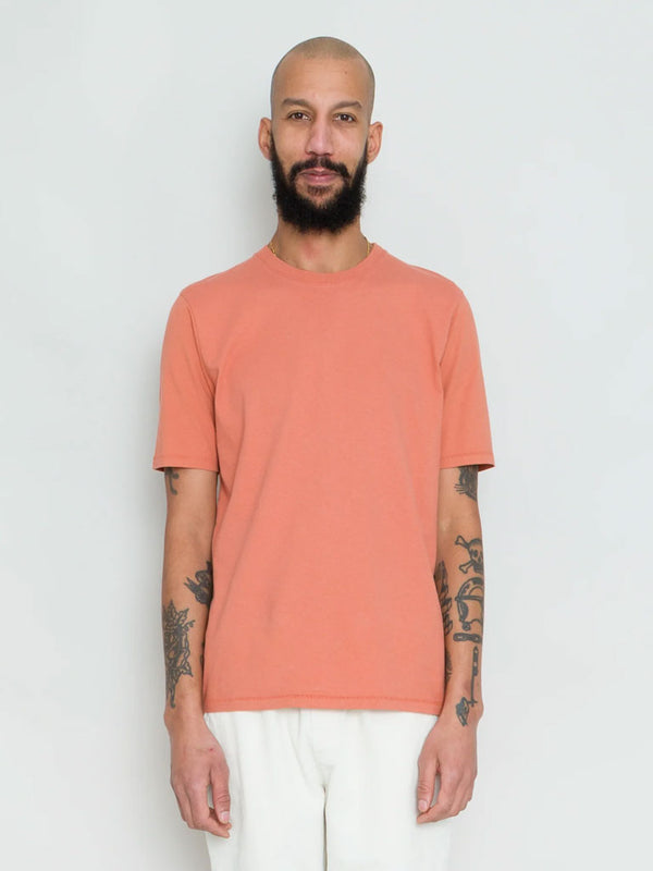 Folk Contrast Sleeve Tee in Rust