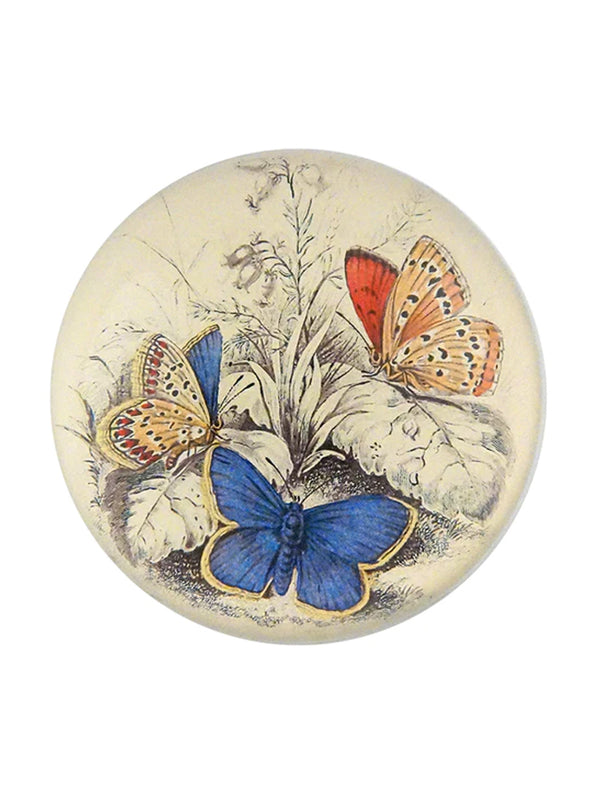 John Derian Copper & Common Butterfly Paperweight