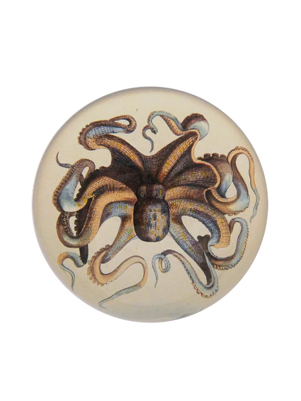 John Derian Octopus Paperweight