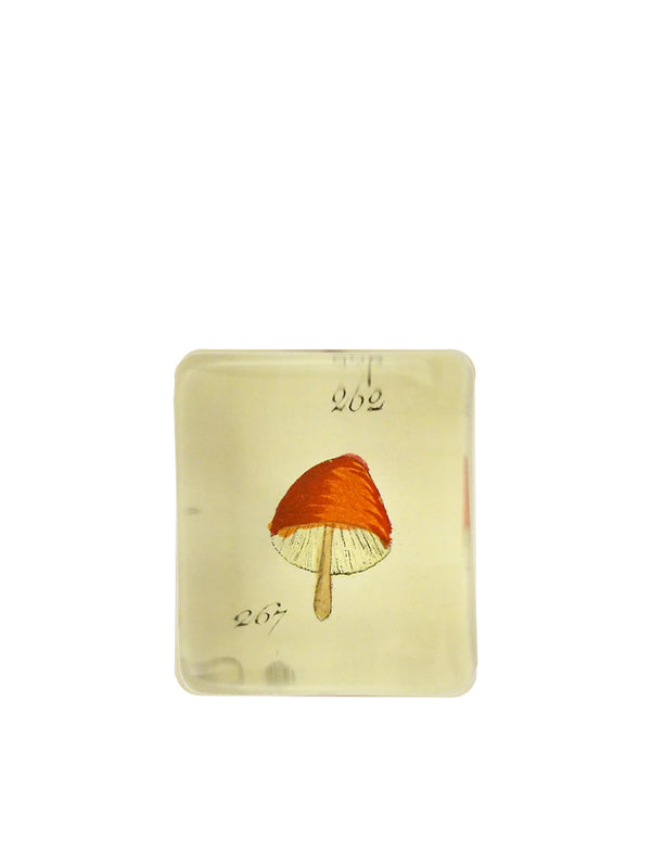 John Derian Orange Mushroom Rectangular Paperweight
