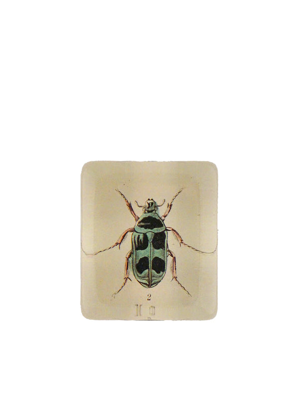 John Derian Spotted Beetle Rectangular Paperweight