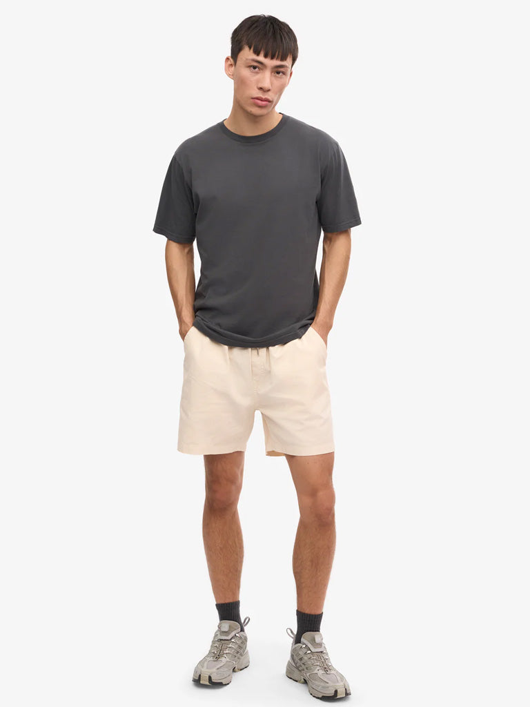 Colorful Standard Classic Organic T-Shirt in Lava Grey