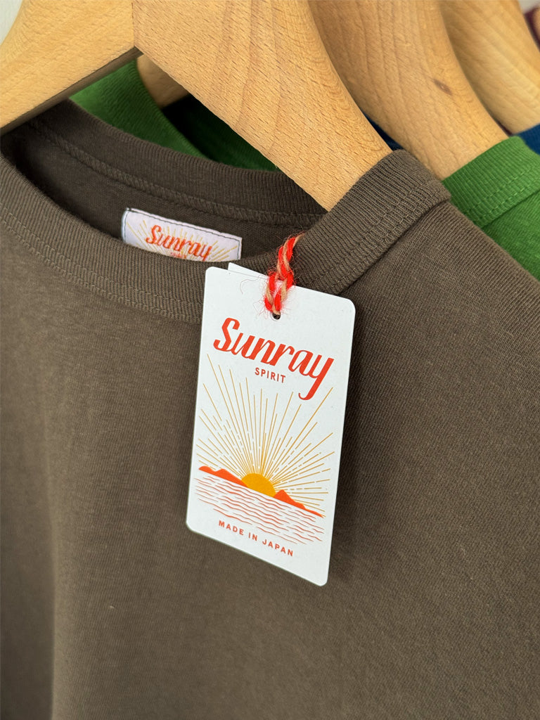 Sunray Haleiwa Short Sleeve T-Shirt in Black Olive