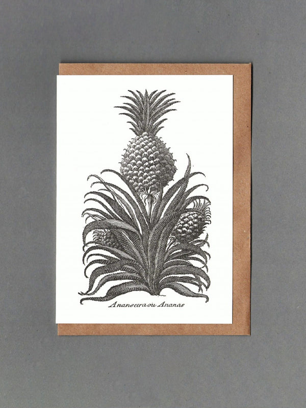 Passenger Press Pineapple Card in Sepia