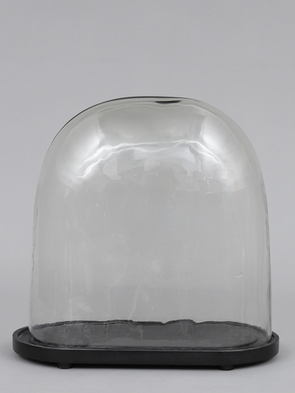 Day Home Glass Dome