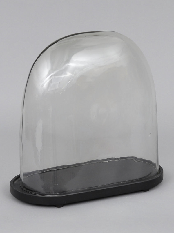 Day Home Glass Dome