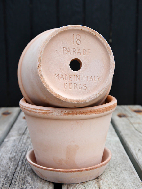 Bergs Potter Parade Pot in Rose