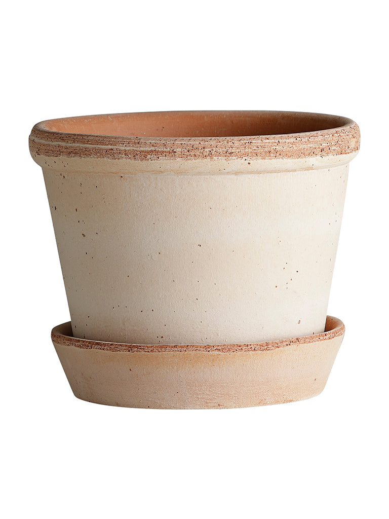 Bergs Potter Parade Pot in Rose
