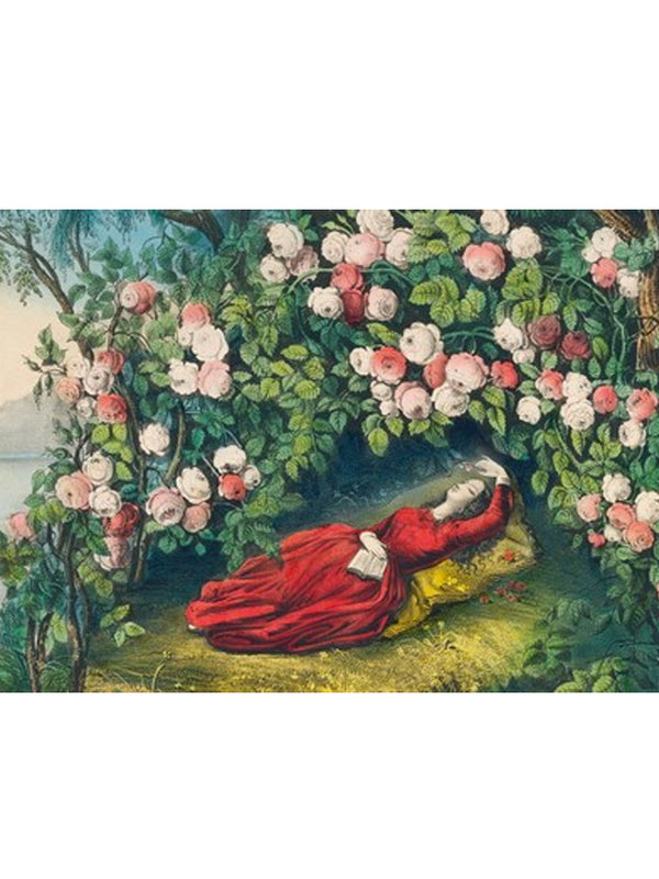 John Derian The Bower Roses Puzzle